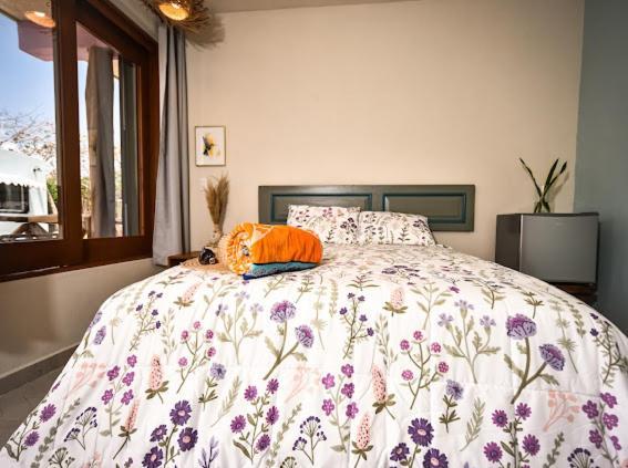 Pixan Apartment Cozumel